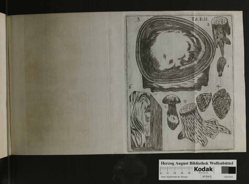http://diglib.hab.de/drucke/nf-304-2/00135h.jpg
