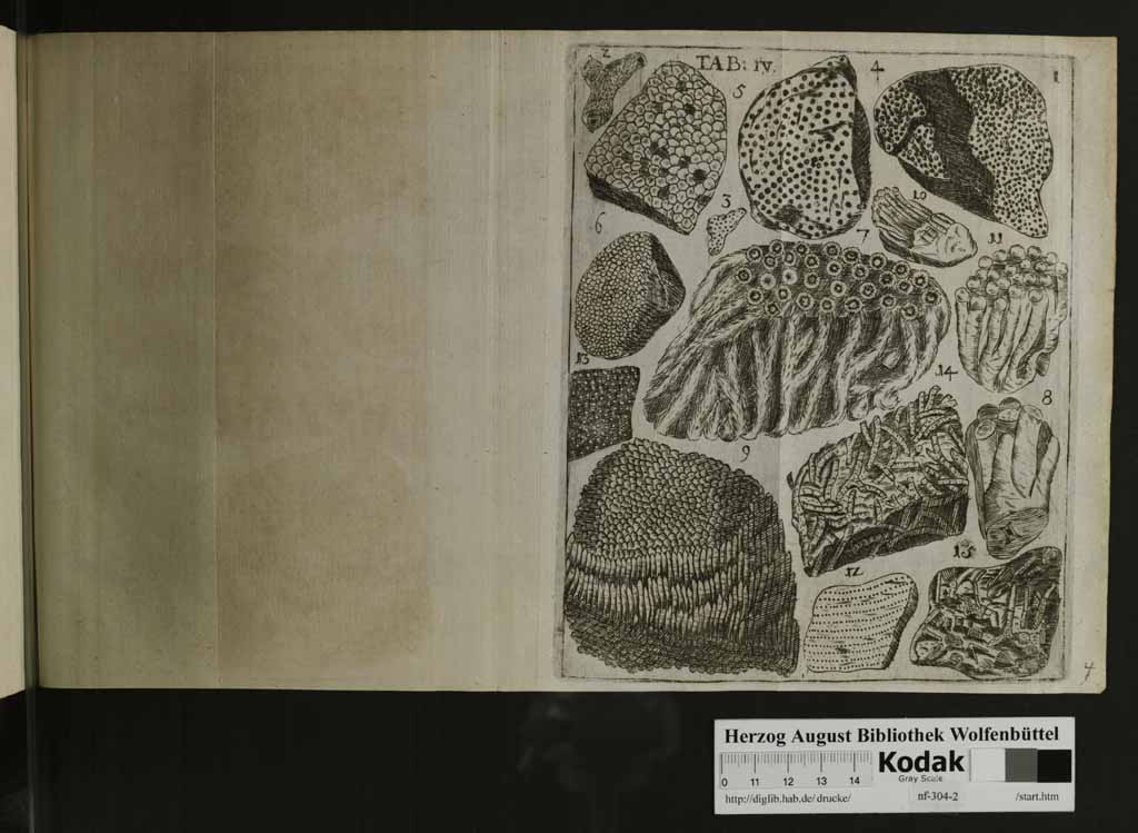 http://diglib.hab.de/drucke/nf-304-2/00135j.jpg