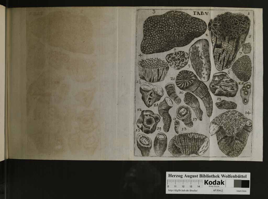 http://diglib.hab.de/drucke/nf-304-2/00135k.jpg