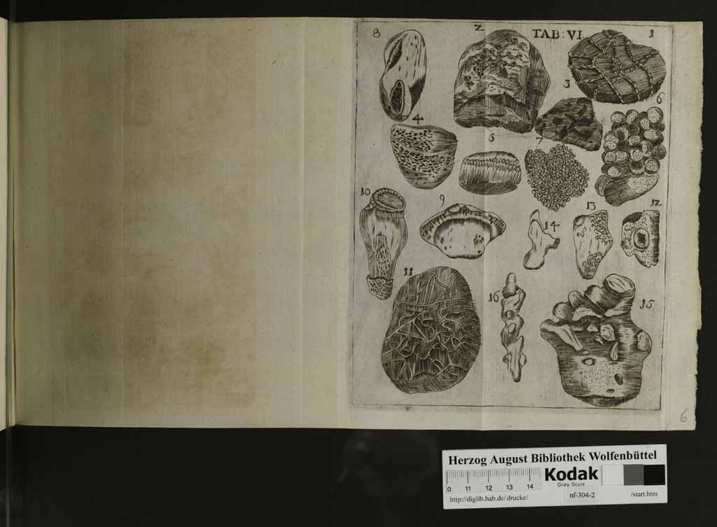 http://diglib.hab.de/drucke/nf-304-2/00135l.jpg