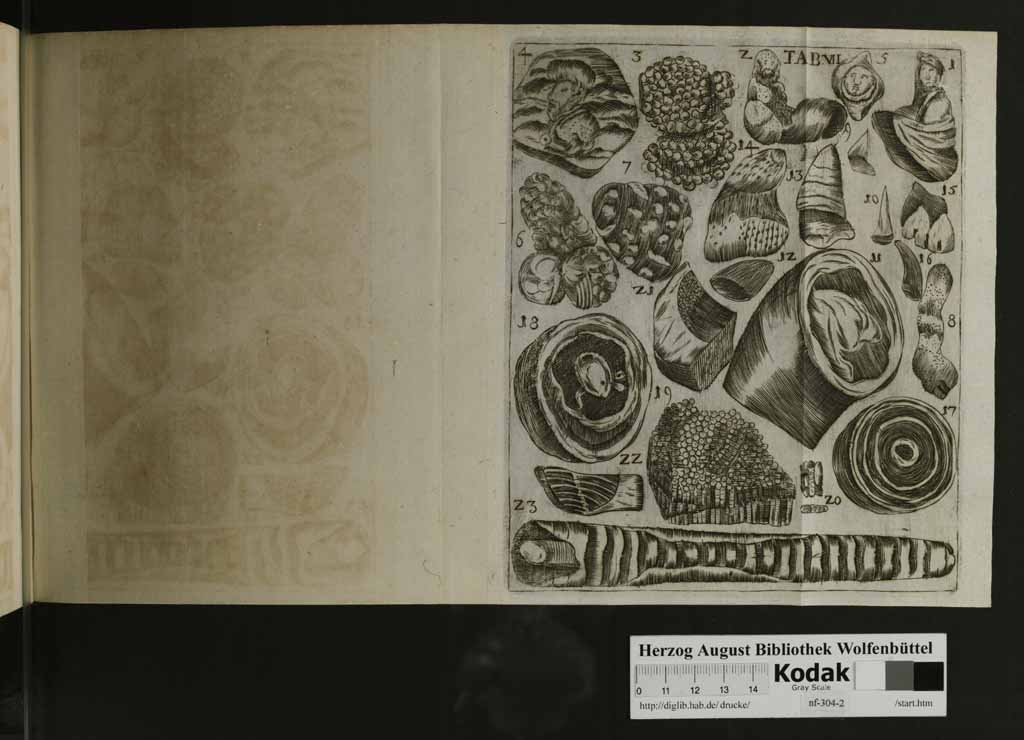 http://diglib.hab.de/drucke/nf-304-2/00135m.jpg