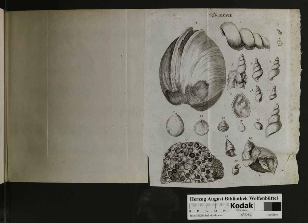 http://diglib.hab.de/drucke/nf-304-2/00135n.jpg