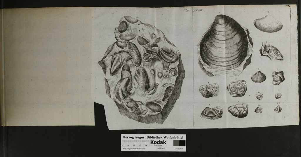 http://diglib.hab.de/drucke/nf-304-2/00135o.jpg