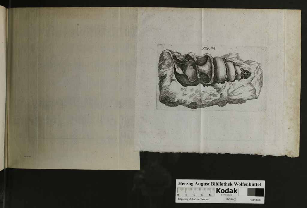 http://diglib.hab.de/drucke/nf-304-2/00135p.jpg