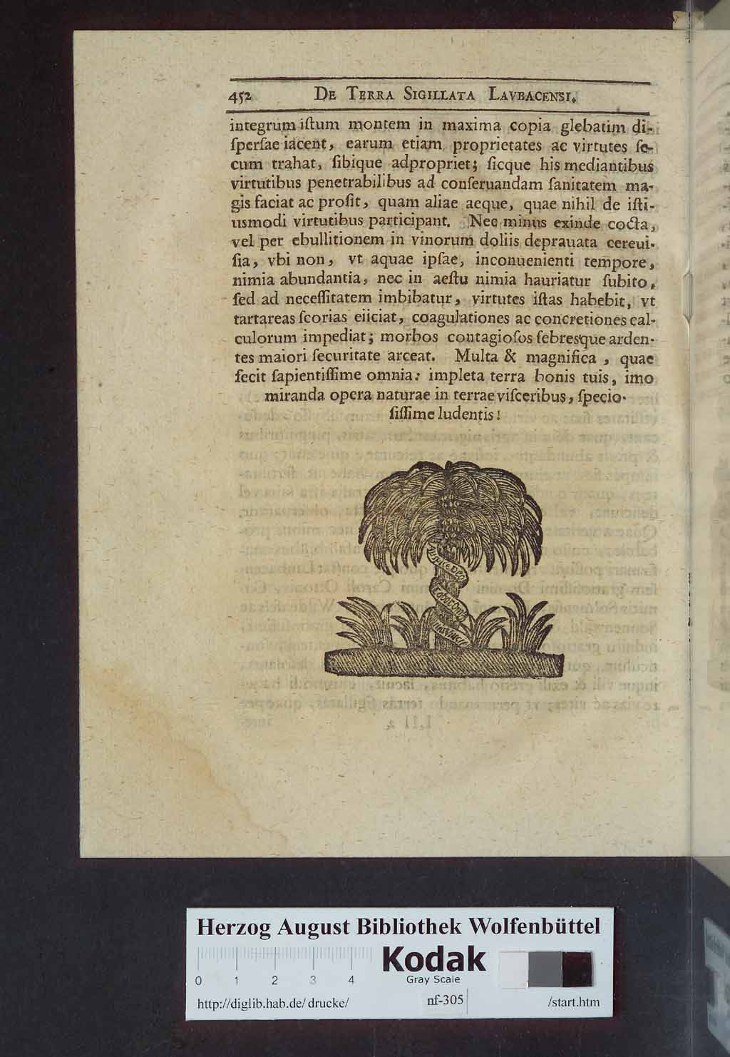 http://diglib.hab.de/drucke/nf-305/00478.jpg