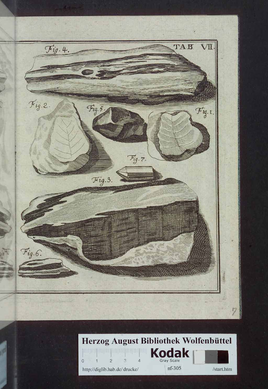 http://diglib.hab.de/drucke/nf-305/00551.jpg