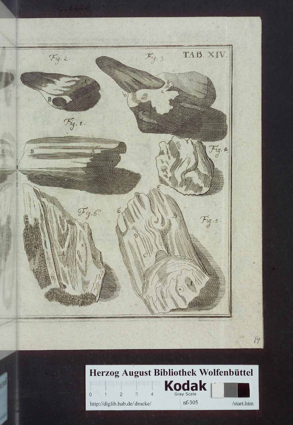 http://diglib.hab.de/drucke/nf-305/00565.jpg