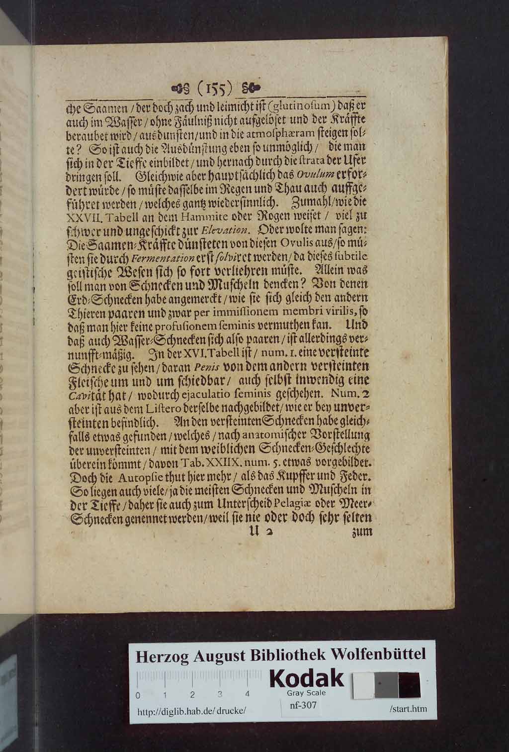 http://diglib.hab.de/drucke/nf-307/00171.jpg