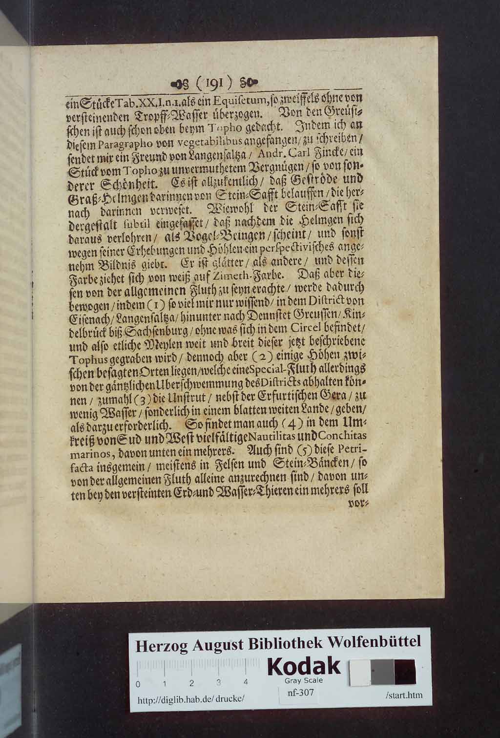 http://diglib.hab.de/drucke/nf-307/00207.jpg