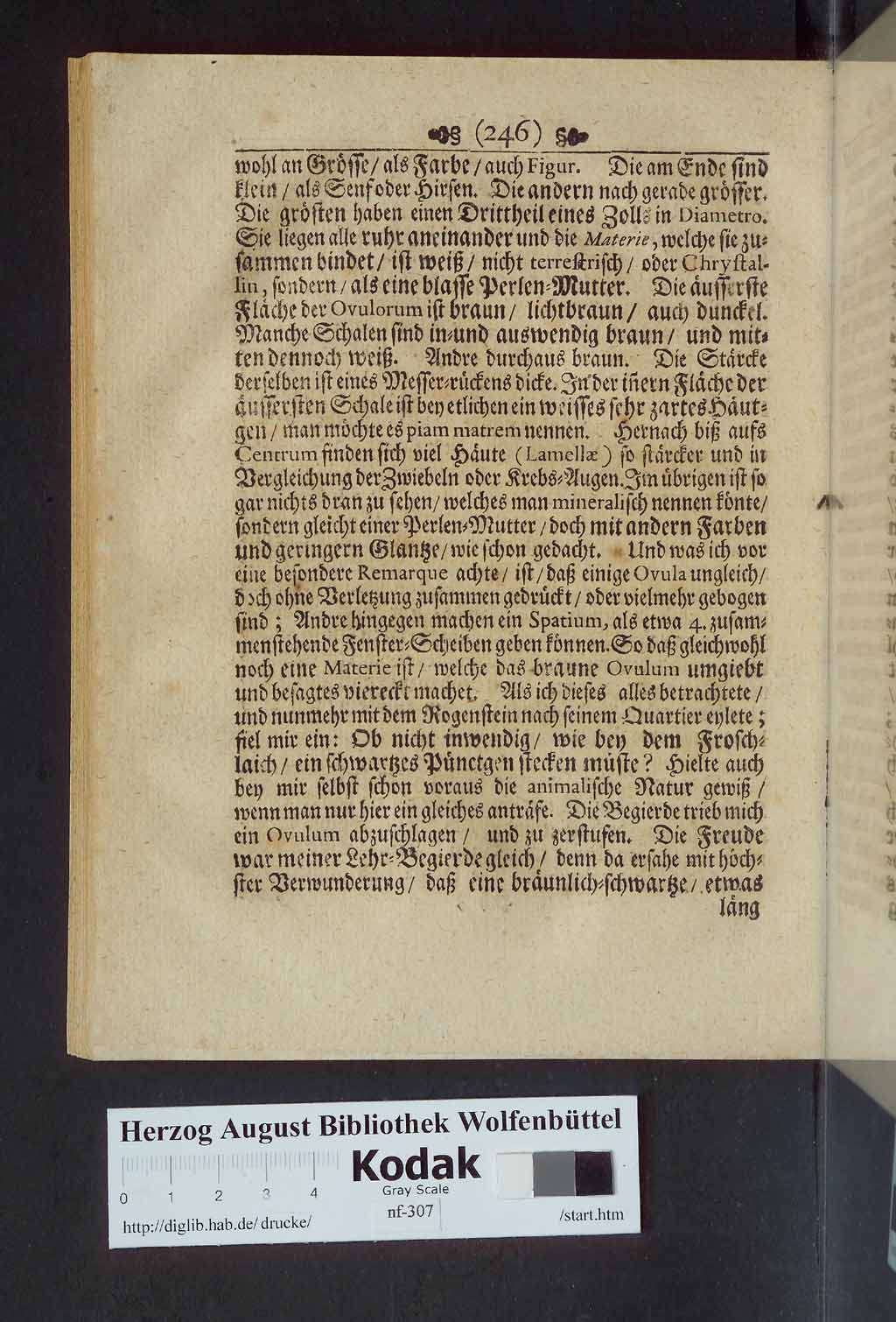 http://diglib.hab.de/drucke/nf-307/00262.jpg