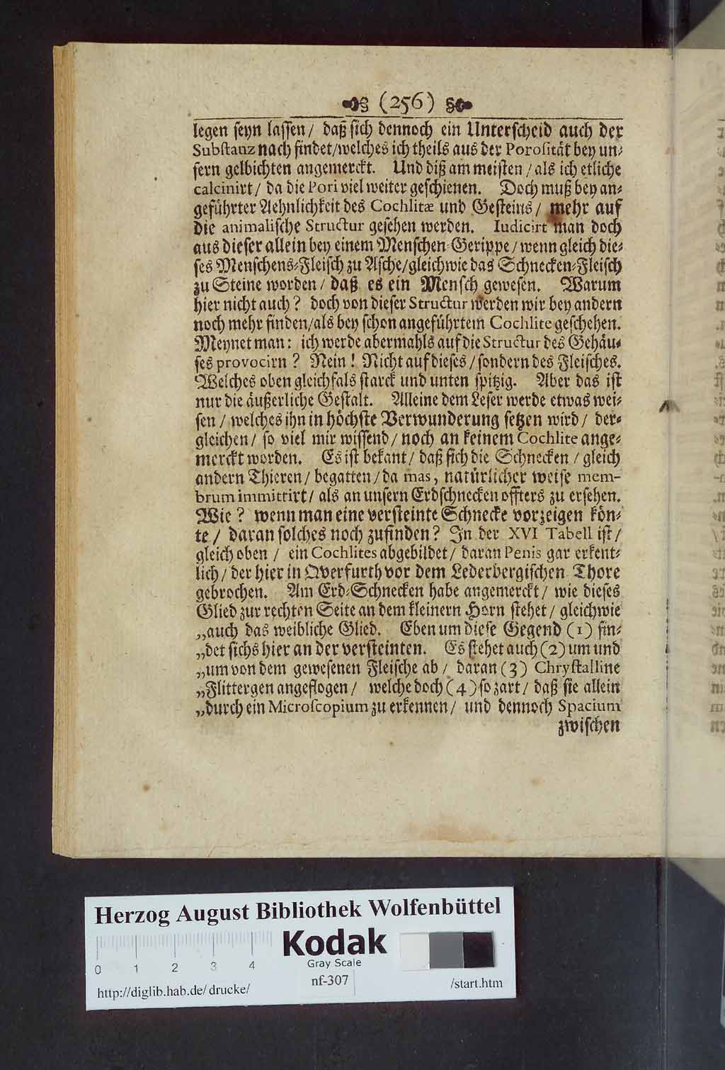 http://diglib.hab.de/drucke/nf-307/00272.jpg