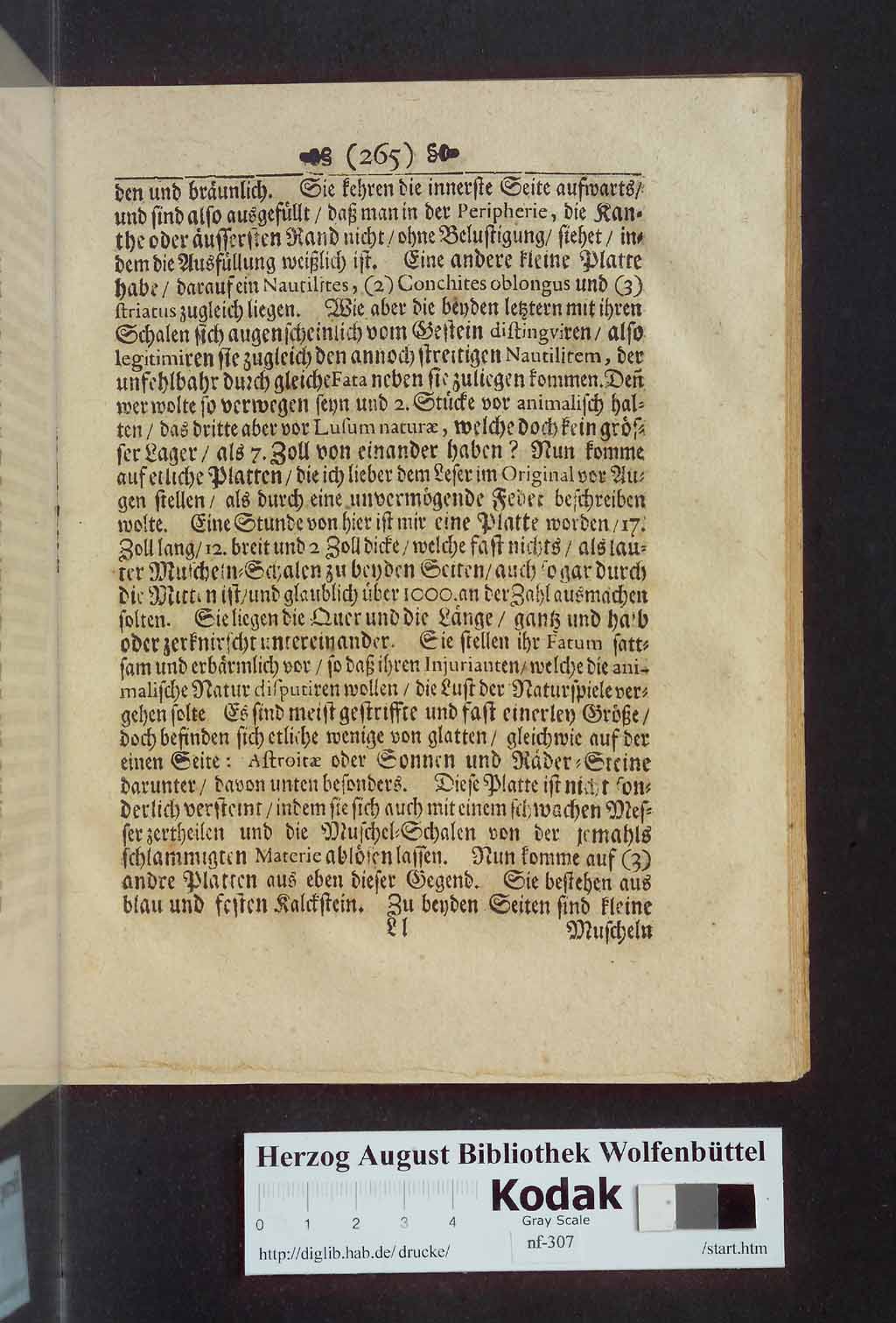 http://diglib.hab.de/drucke/nf-307/00281.jpg