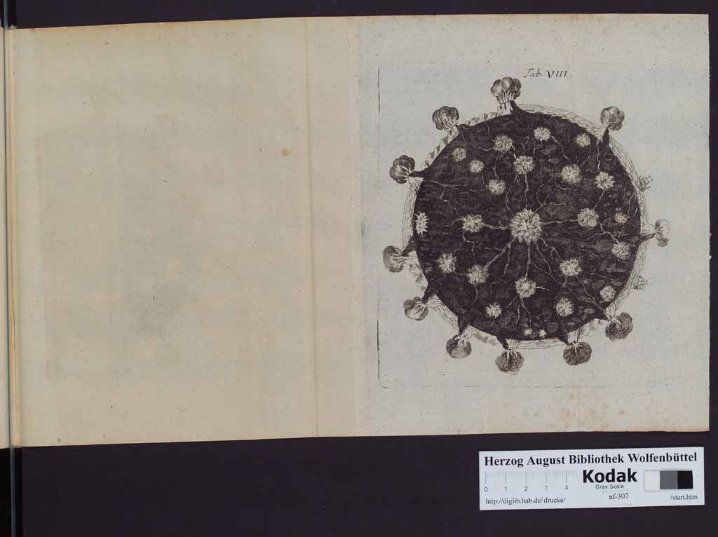 http://diglib.hab.de/drucke/nf-307/00350h.jpg