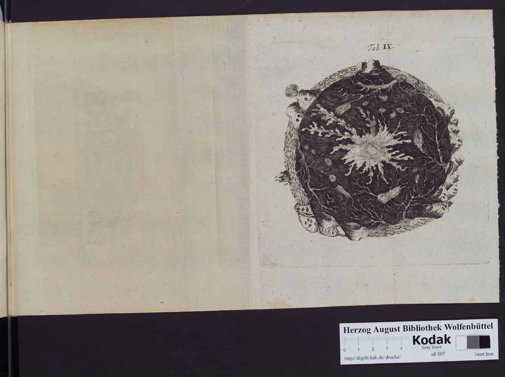 http://diglib.hab.de/drucke/nf-307/00350i.jpg