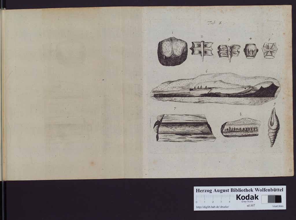 http://diglib.hab.de/drucke/nf-307/00350j.jpg