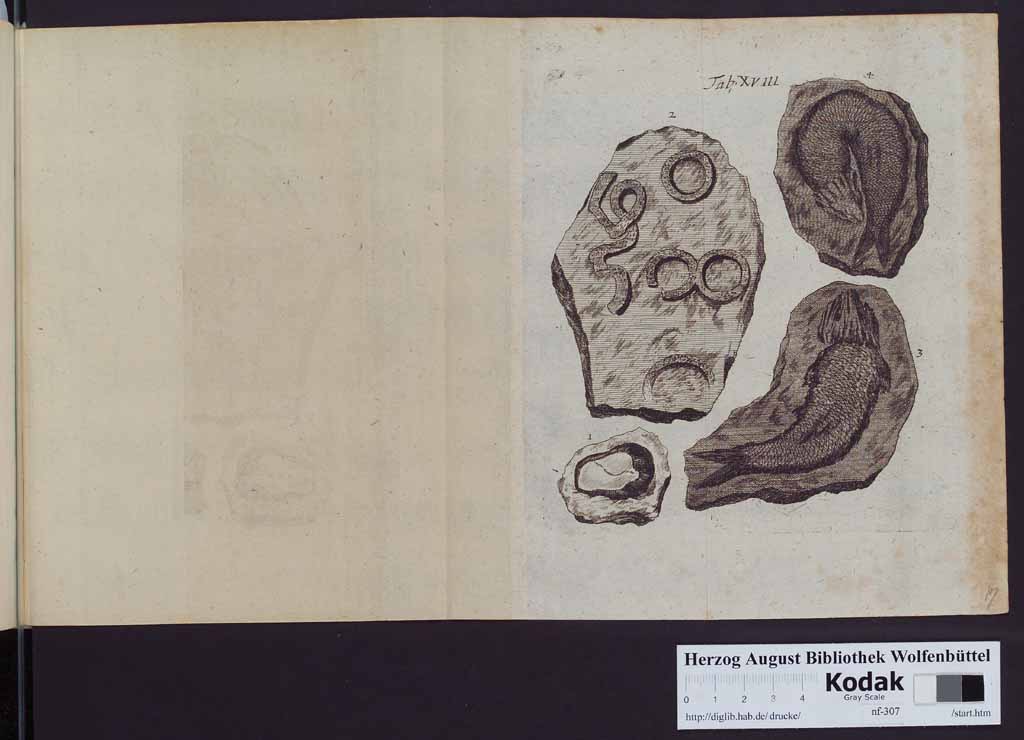 http://diglib.hab.de/drucke/nf-307/00350q.jpg