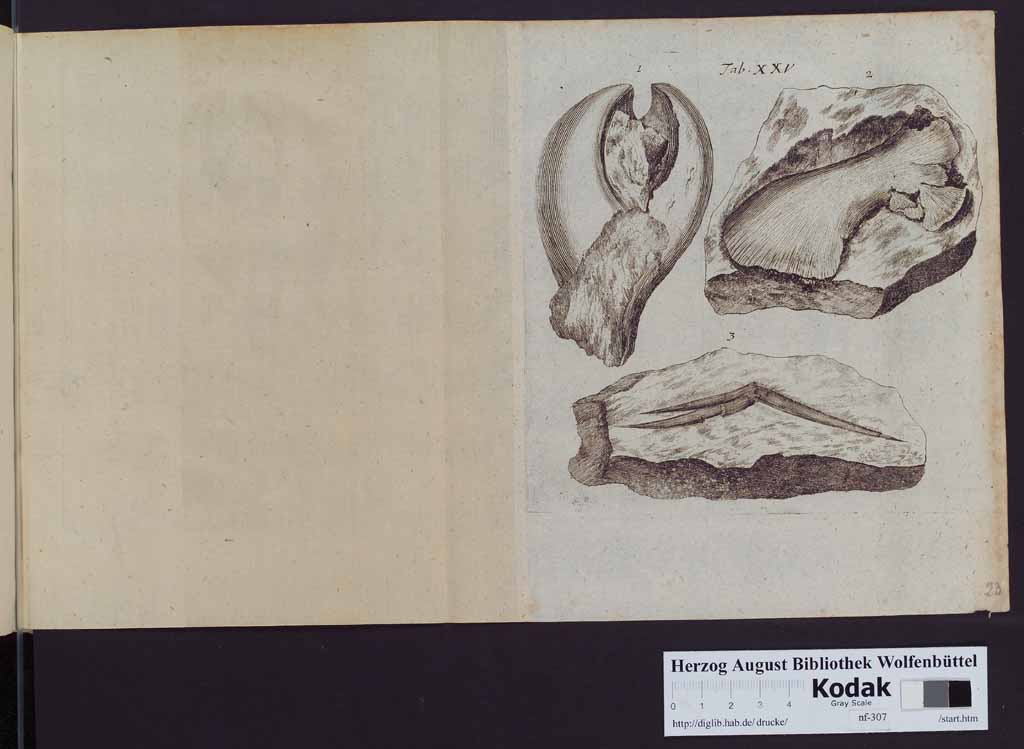 http://diglib.hab.de/drucke/nf-307/00350w.jpg