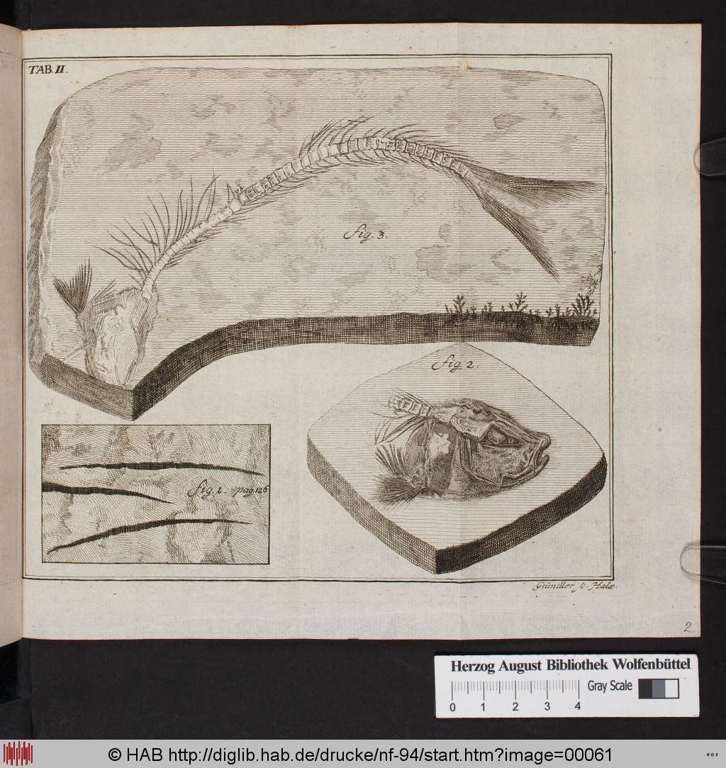 http://diglib.hab.de/drucke/nf-94/00061.jpg
