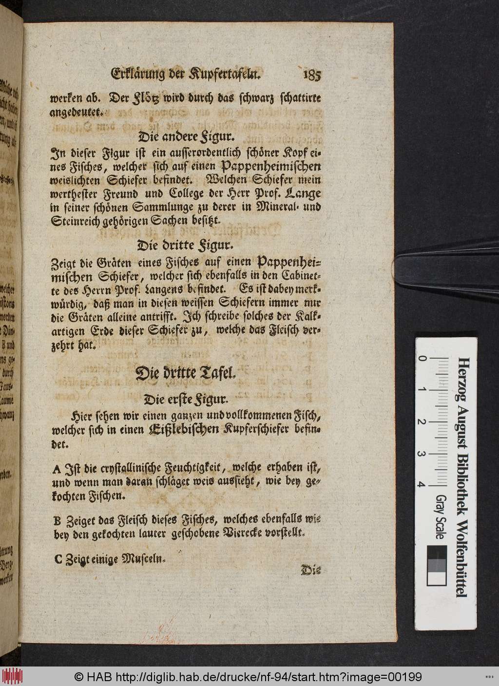 http://diglib.hab.de/drucke/nf-94/00199.jpg