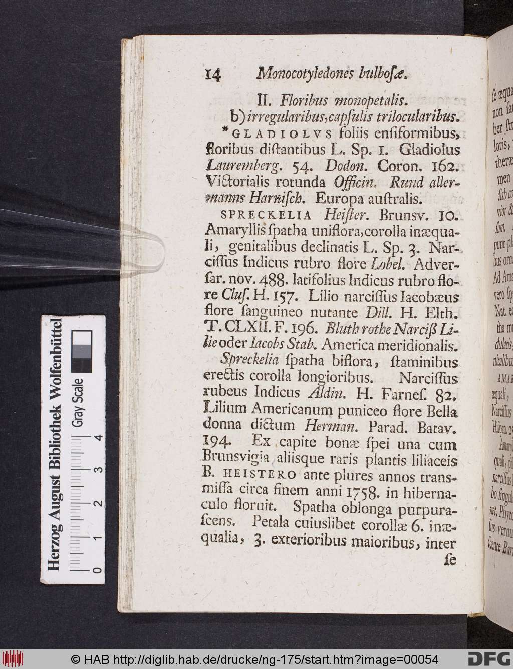 http://diglib.hab.de/drucke/ng-175/00054.jpg