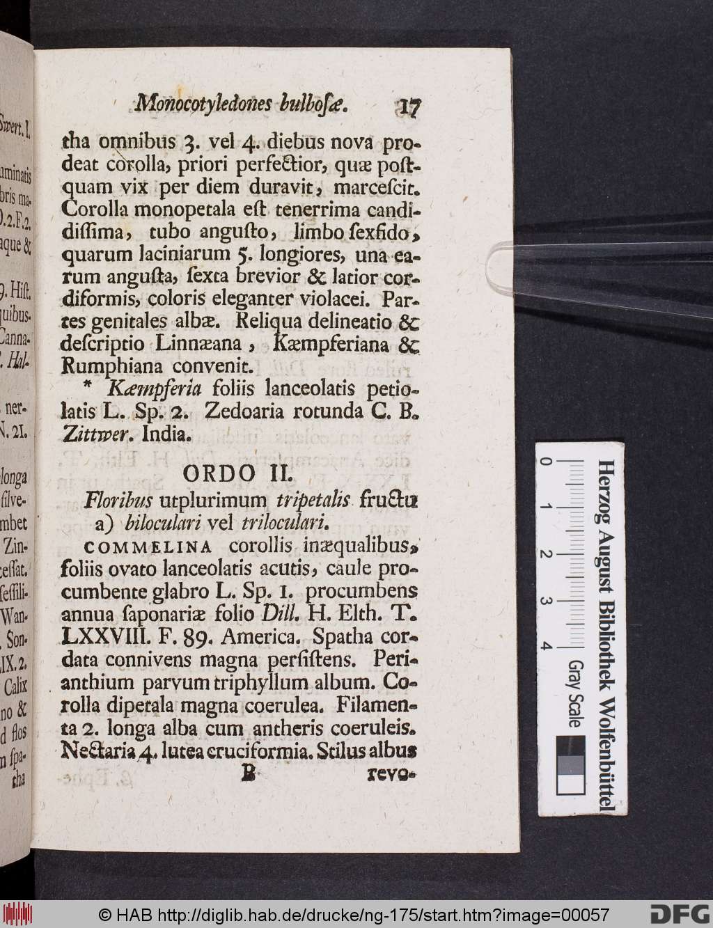http://diglib.hab.de/drucke/ng-175/00057.jpg