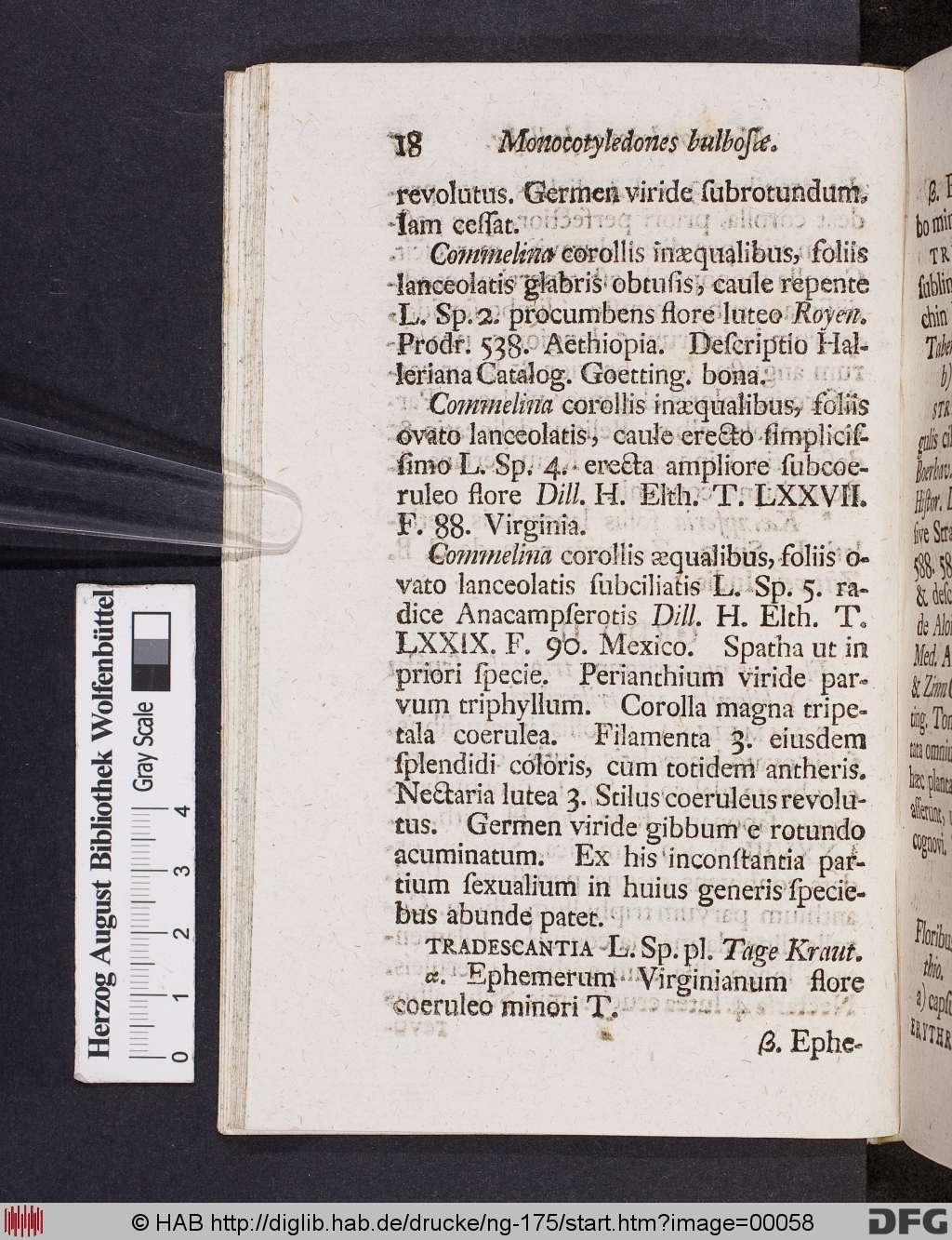 http://diglib.hab.de/drucke/ng-175/00058.jpg