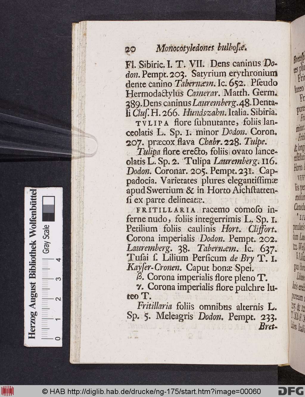 http://diglib.hab.de/drucke/ng-175/00060.jpg