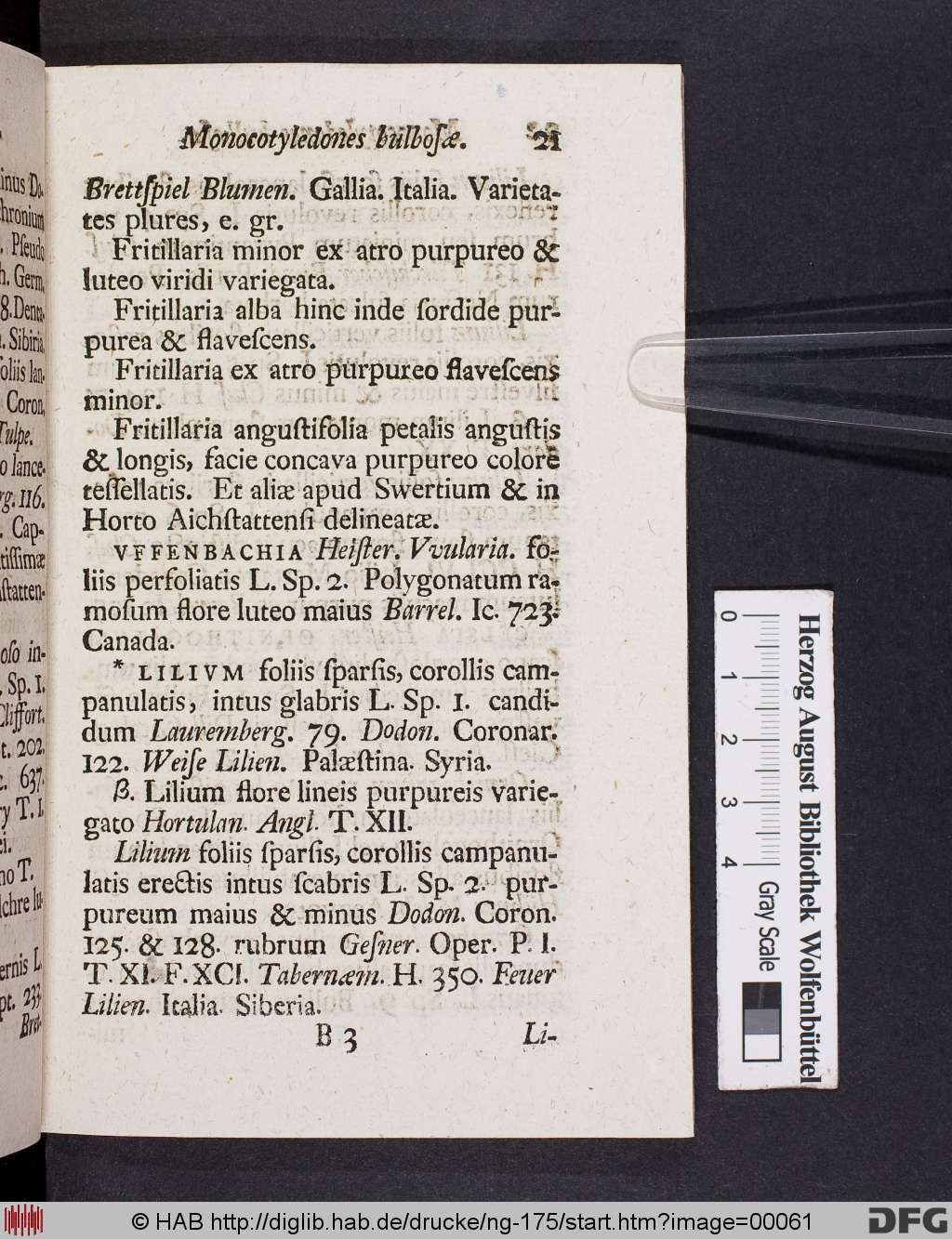 http://diglib.hab.de/drucke/ng-175/00061.jpg