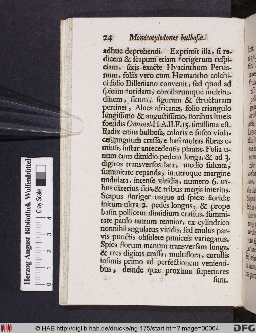 http://diglib.hab.de/drucke/ng-175/00064.jpg