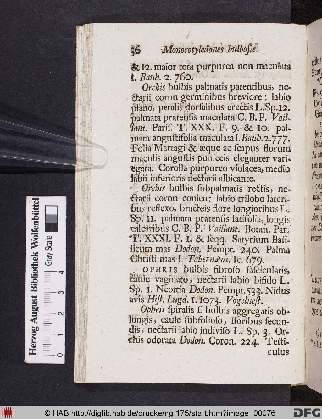 http://diglib.hab.de/drucke/ng-175/00076.jpg