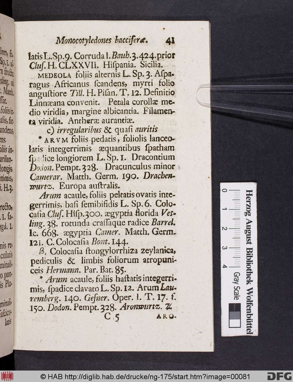http://diglib.hab.de/drucke/ng-175/00081.jpg