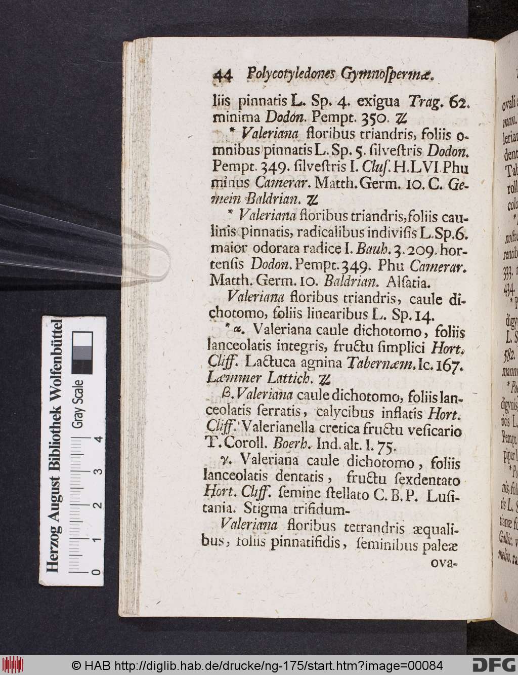 http://diglib.hab.de/drucke/ng-175/00084.jpg