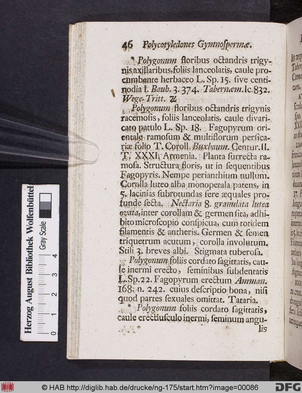 http://diglib.hab.de/drucke/ng-175/00086.jpg