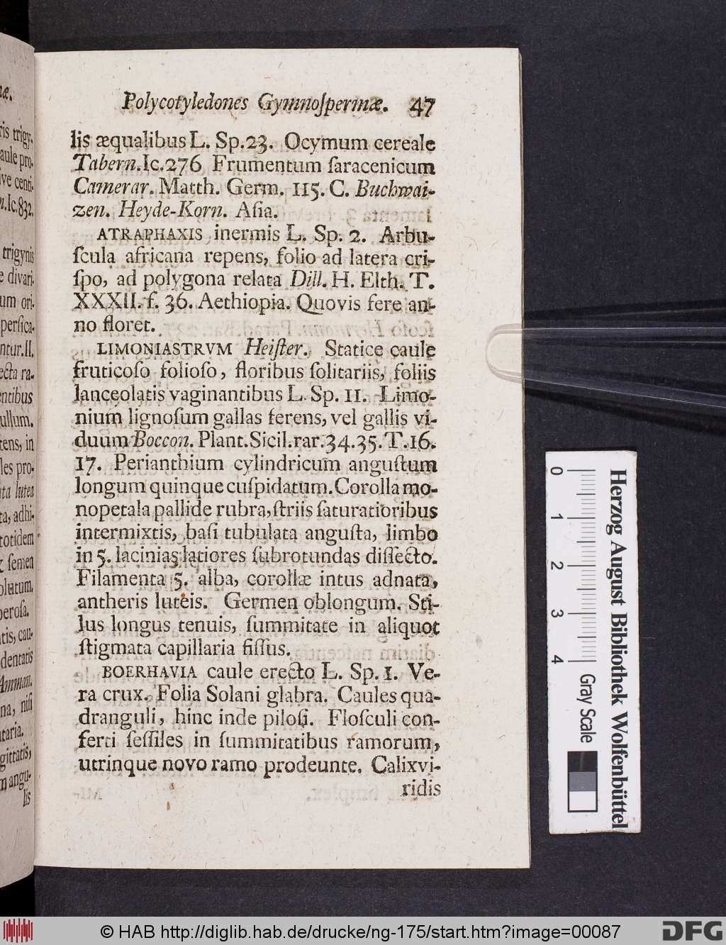 http://diglib.hab.de/drucke/ng-175/00087.jpg