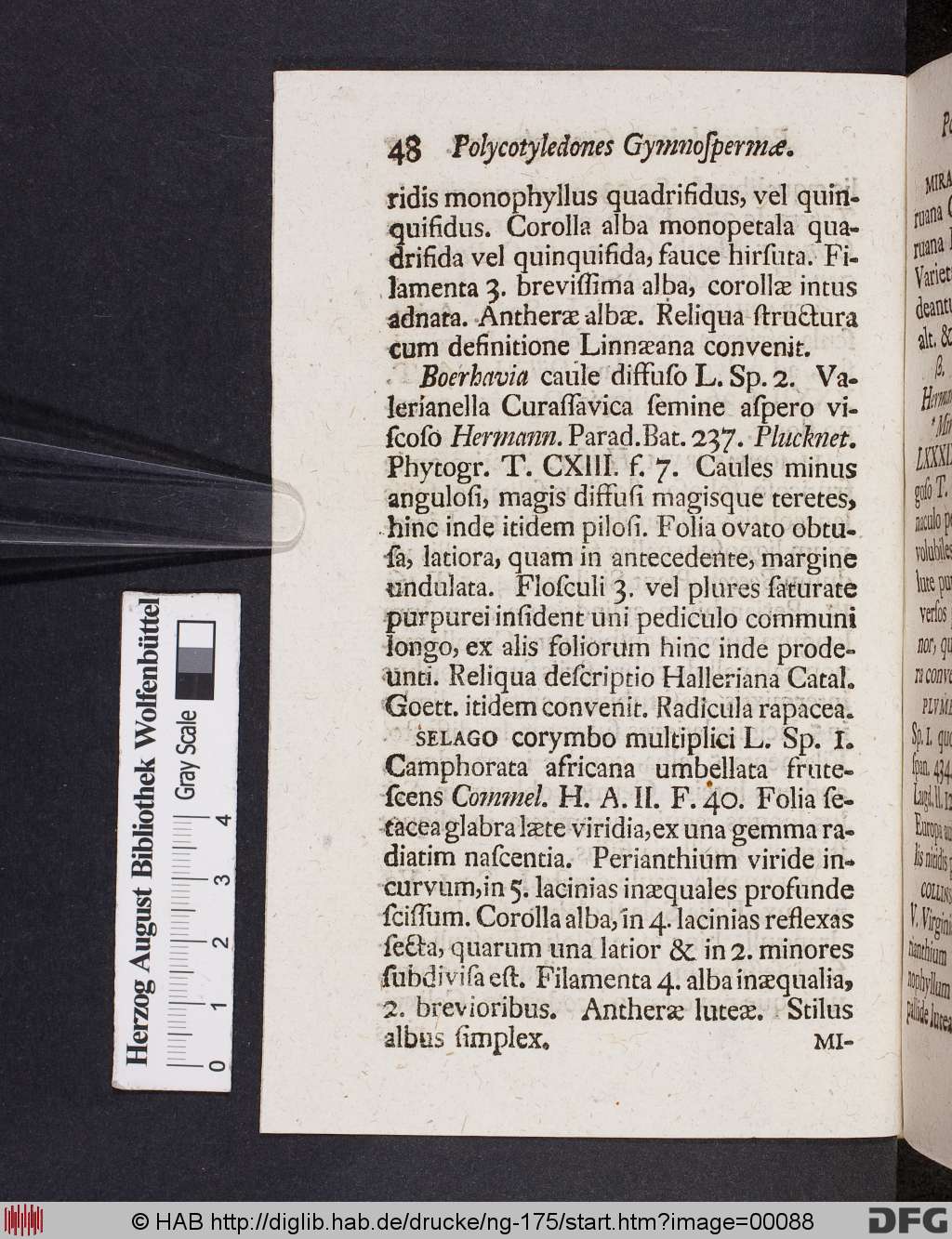 http://diglib.hab.de/drucke/ng-175/00088.jpg