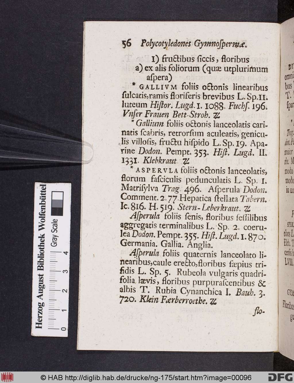 http://diglib.hab.de/drucke/ng-175/00096.jpg