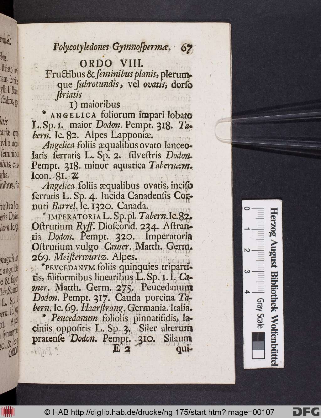 http://diglib.hab.de/drucke/ng-175/00107.jpg