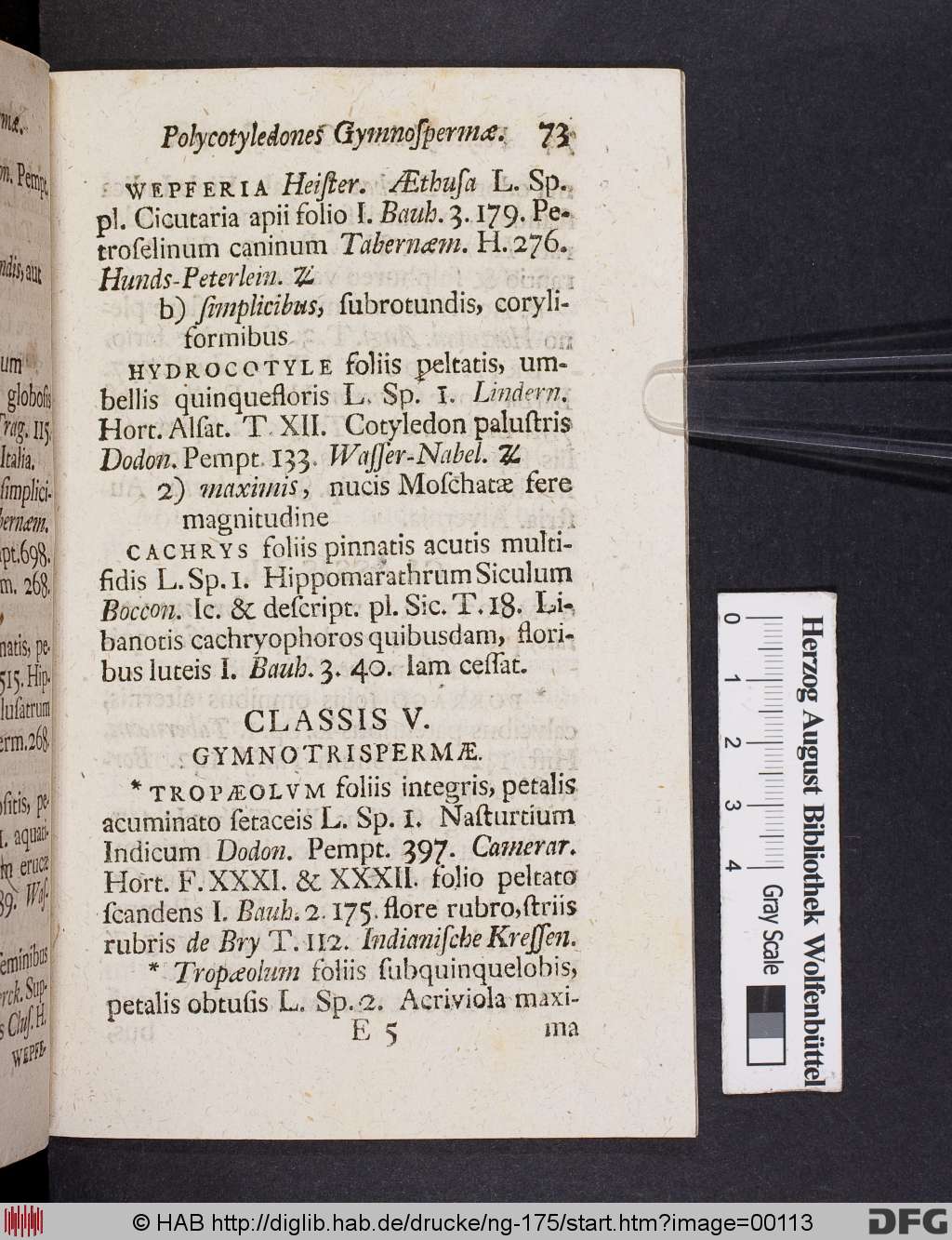 http://diglib.hab.de/drucke/ng-175/00113.jpg