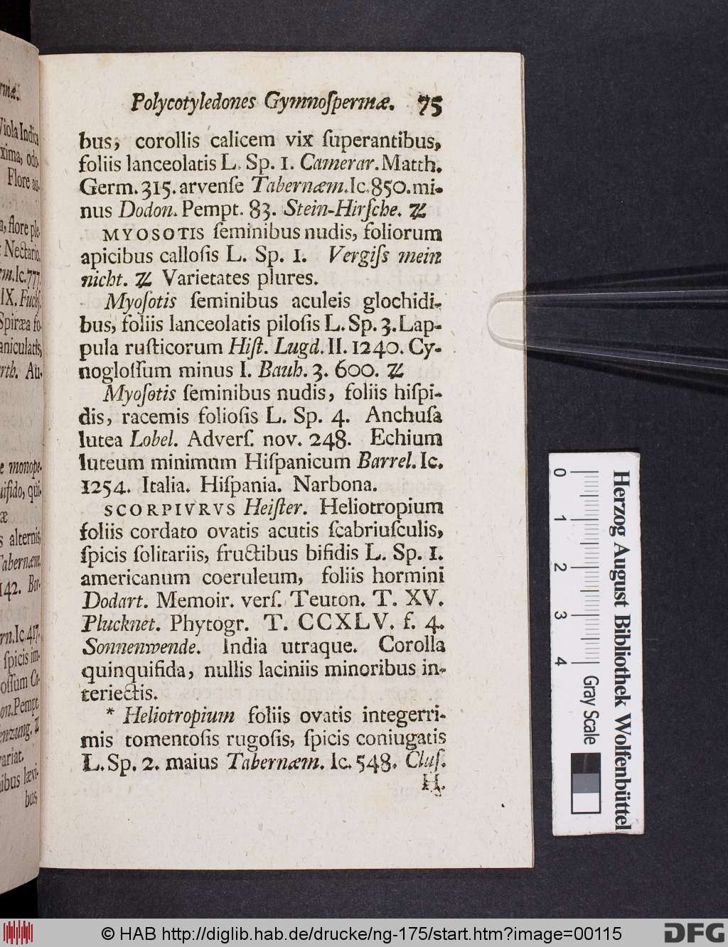 http://diglib.hab.de/drucke/ng-175/00115.jpg