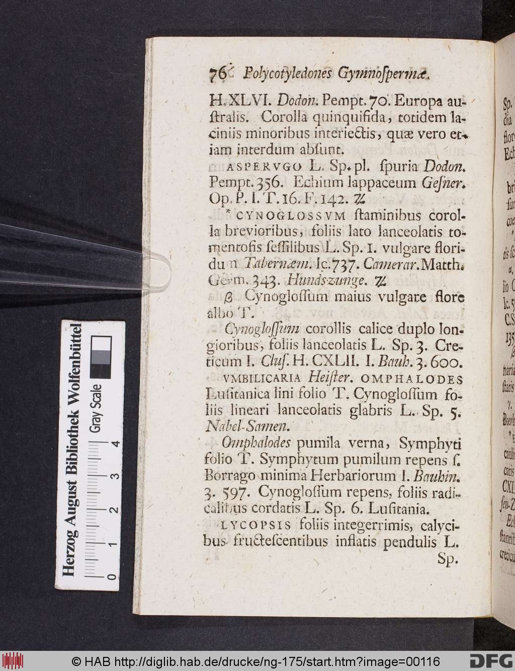 http://diglib.hab.de/drucke/ng-175/00116.jpg