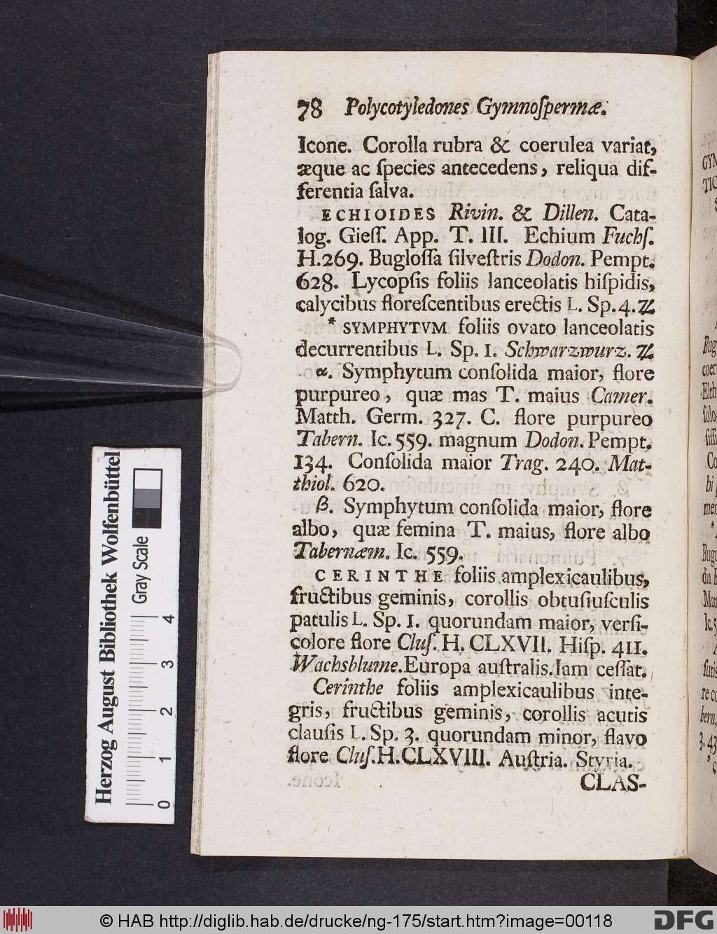 http://diglib.hab.de/drucke/ng-175/00118.jpg