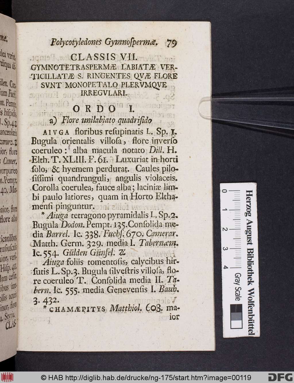 http://diglib.hab.de/drucke/ng-175/00119.jpg