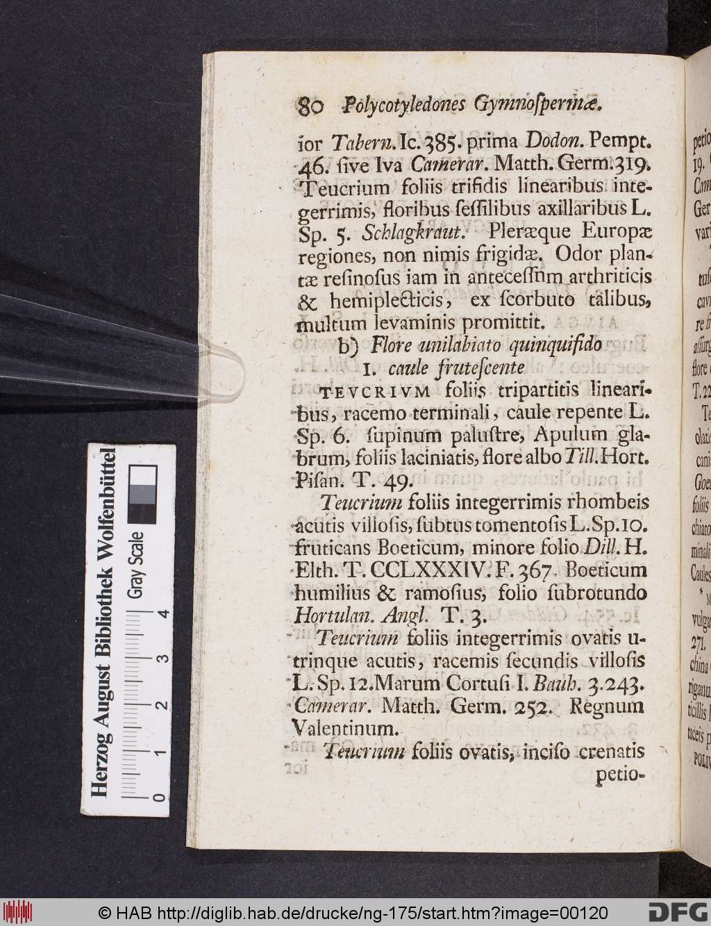 http://diglib.hab.de/drucke/ng-175/00120.jpg