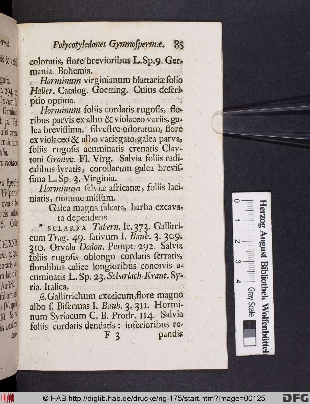 http://diglib.hab.de/drucke/ng-175/00125.jpg