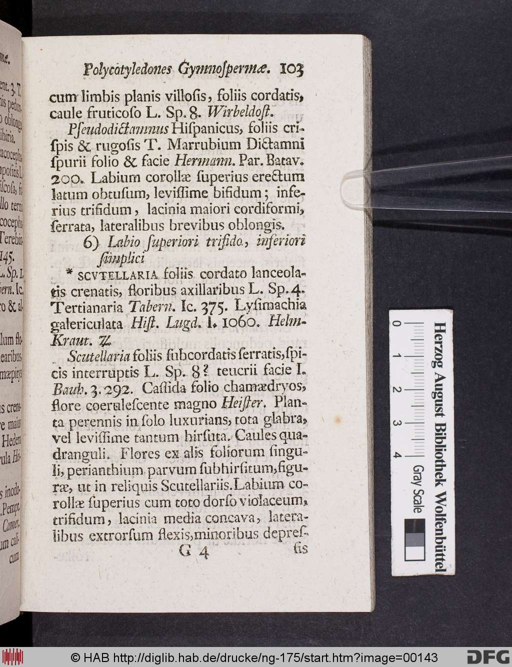http://diglib.hab.de/drucke/ng-175/00143.jpg