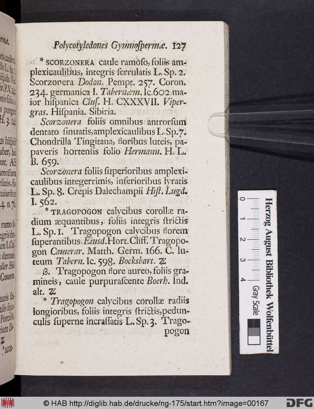 http://diglib.hab.de/drucke/ng-175/00167.jpg