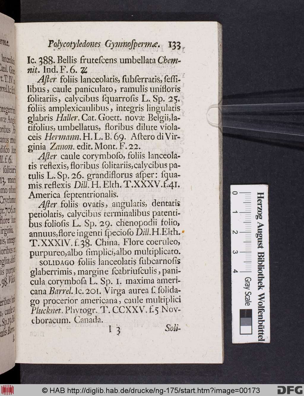 http://diglib.hab.de/drucke/ng-175/00173.jpg