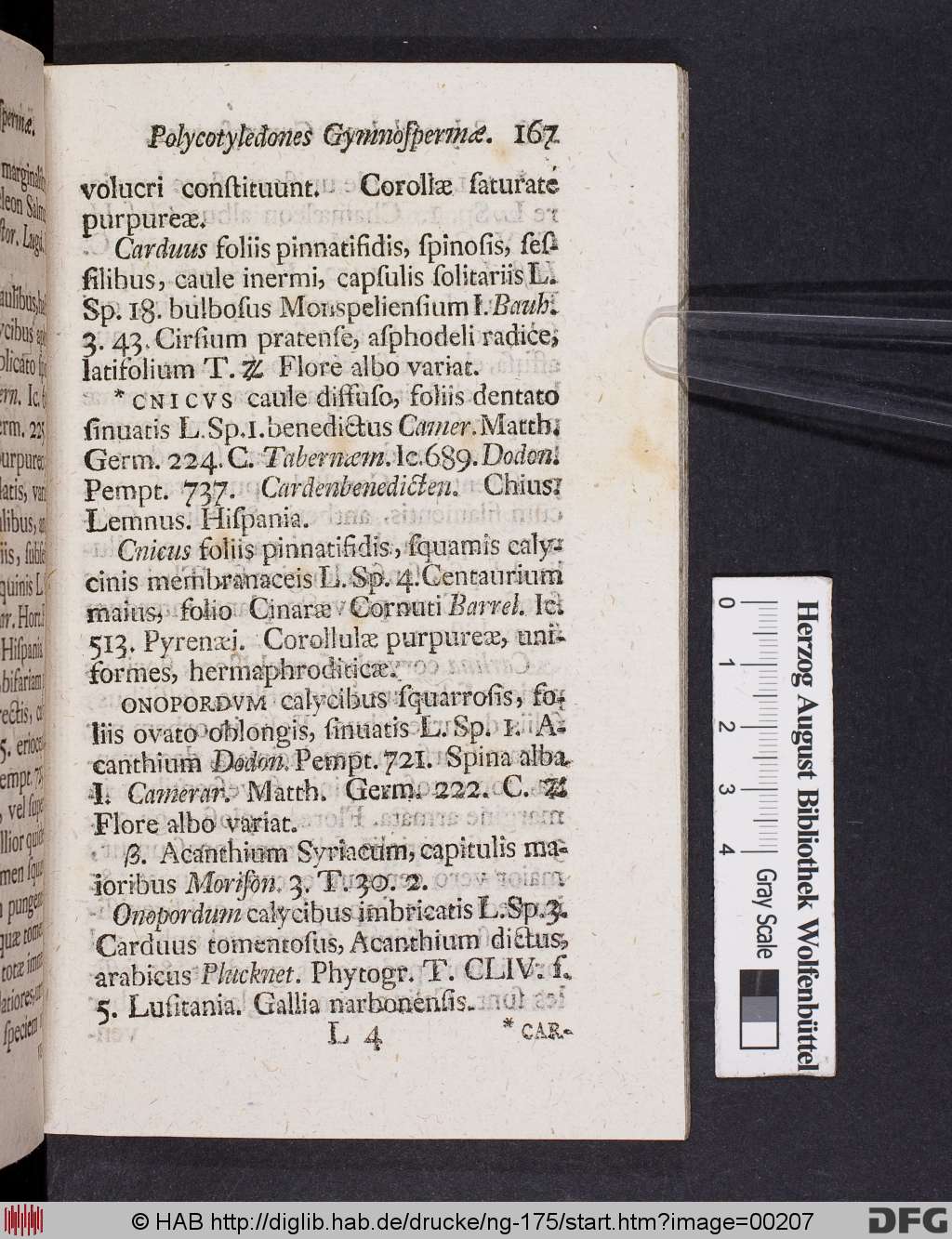 http://diglib.hab.de/drucke/ng-175/00207.jpg