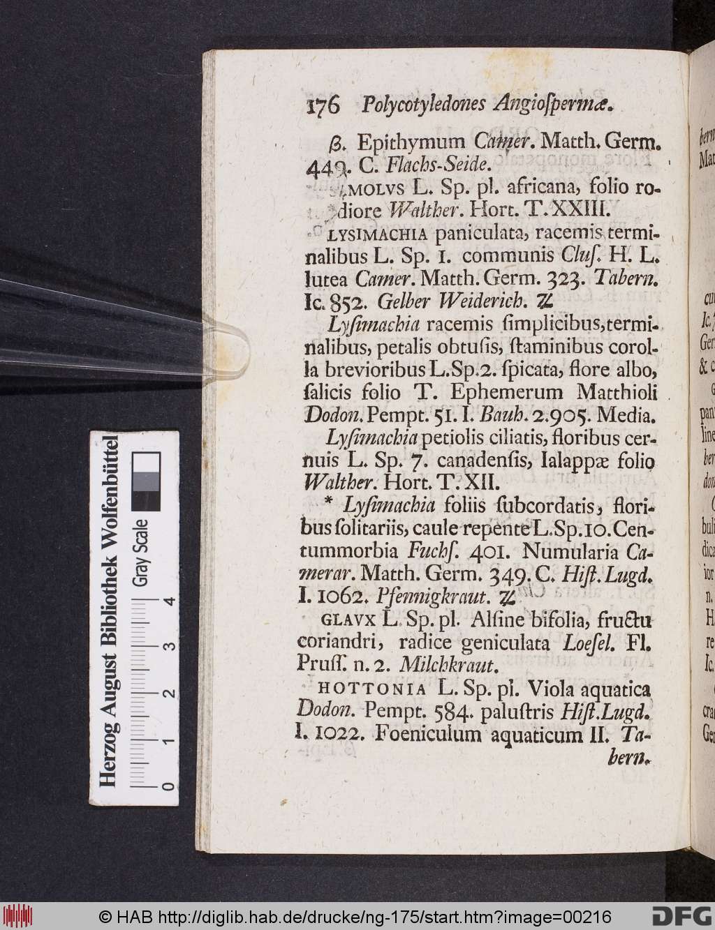 http://diglib.hab.de/drucke/ng-175/00216.jpg