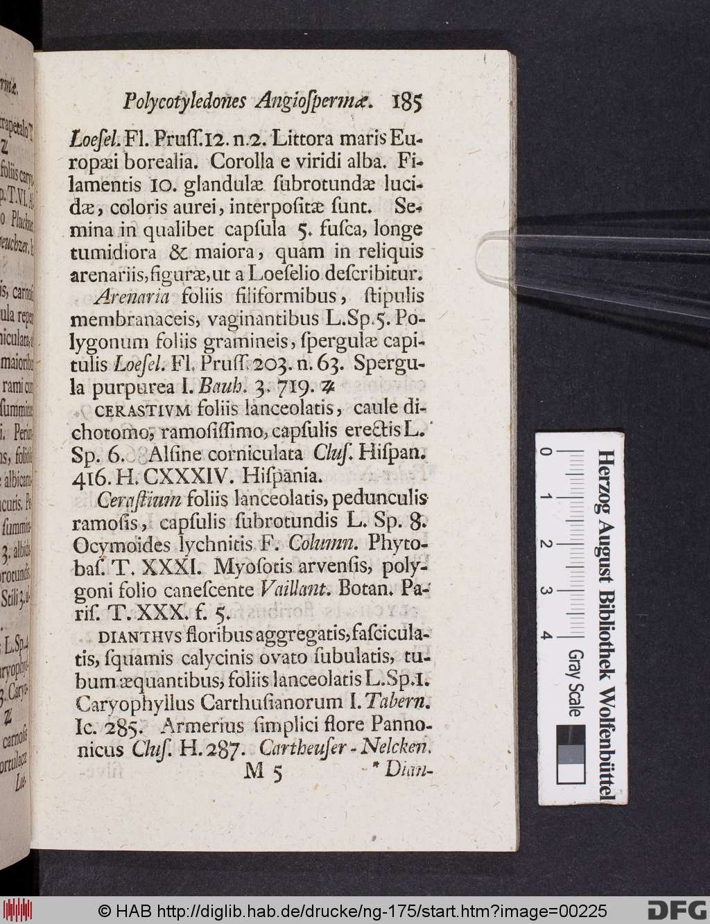 http://diglib.hab.de/drucke/ng-175/00225.jpg